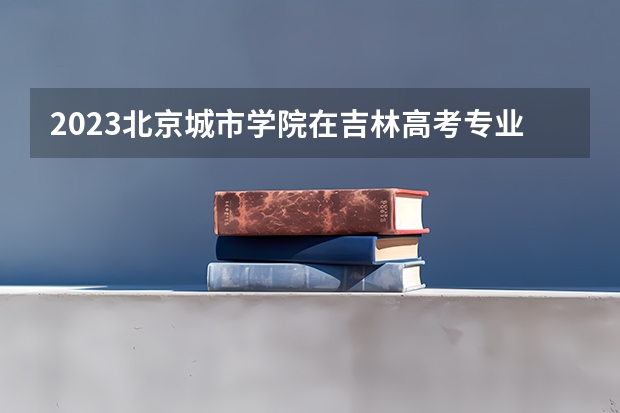 2023北京城市学院在吉林高考专业计划招生多少人