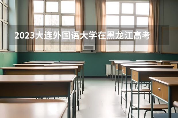 2023大连外国语大学在黑龙江高考专业计划招生多少人