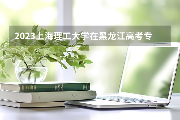 2023上海理工大学在黑龙江高考专业计划招生多少人