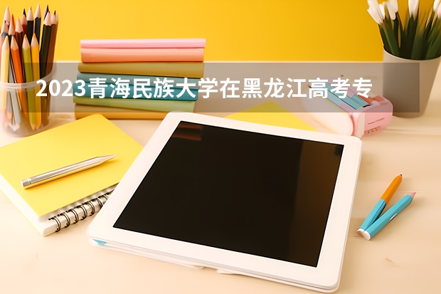 2023青海民族大学在黑龙江高考专业计划招生多少人