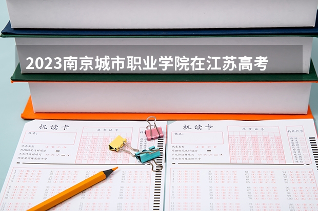 2023南京城市职业学院在江苏高考专业计划招生多少人